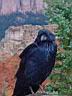 20020908_277_Utah_-_Bryce_Canyon_NP_-_Farview_-_Common_Raven.jpg