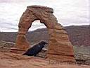 20020911_376_Utah_-_Arches_NP_-_Delicate_Arch_-_Common_Raven.jpg
