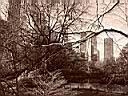 20031201_16_NYC_Central_Park.jpg